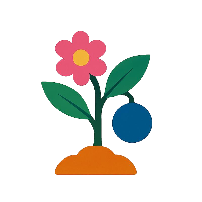 ÇİÇEKLENME & MEYVE TUTUMU