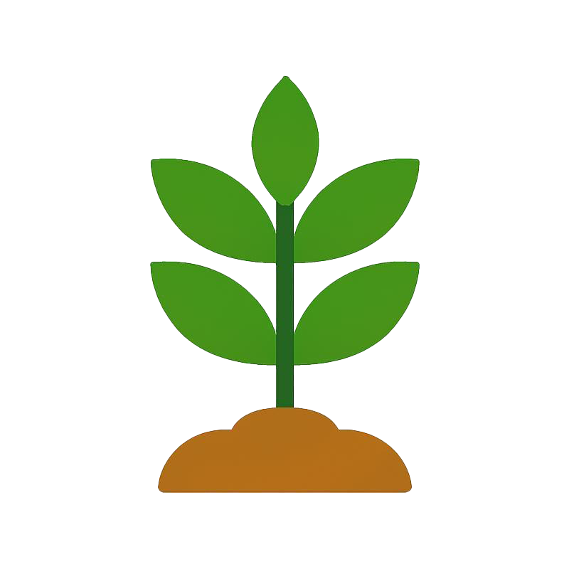 VEJETATİF GELİŞİM